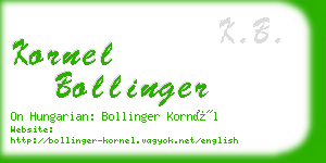 kornel bollinger business card